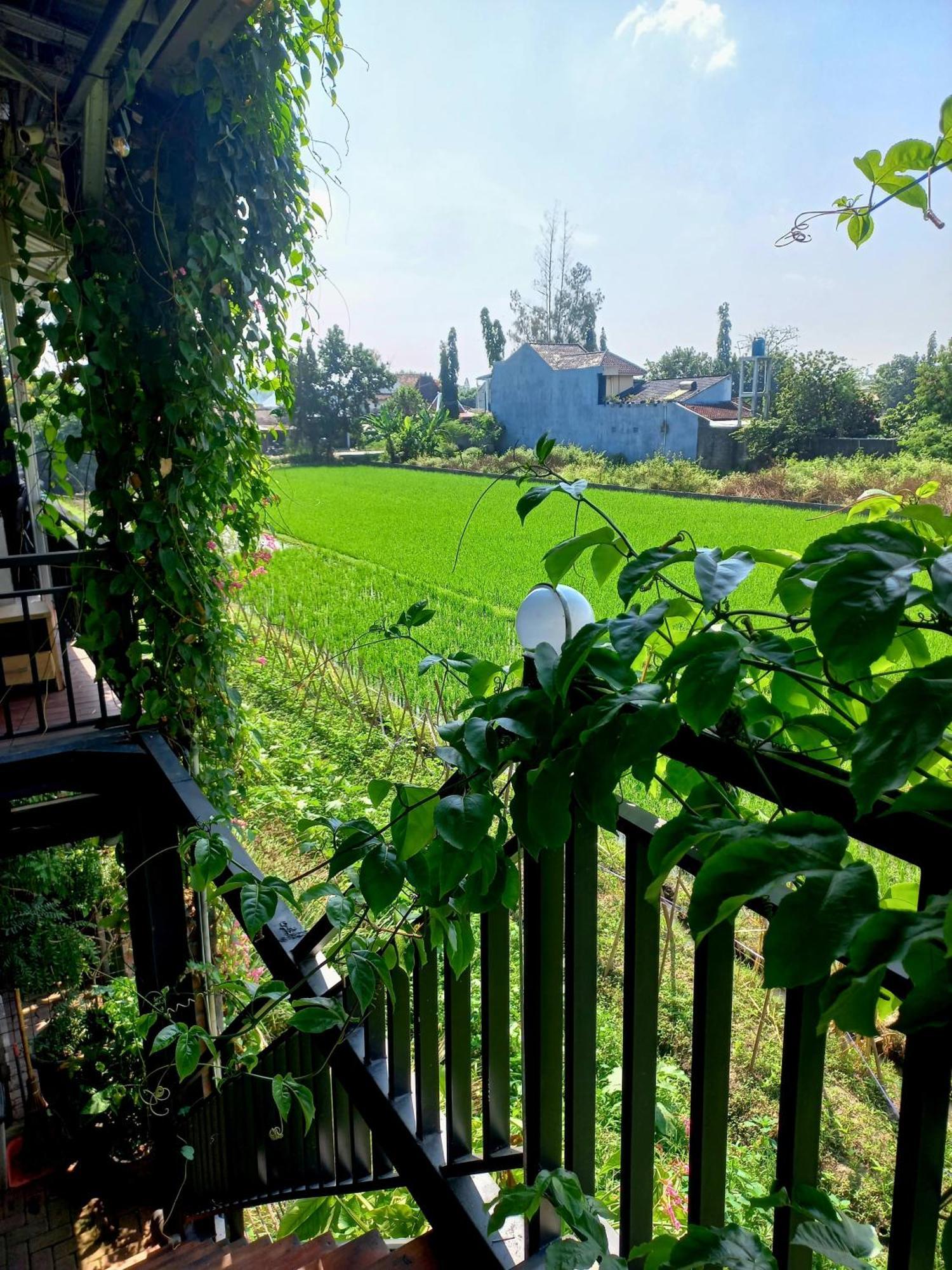 Hotel Omah Cepit ภายนอก รูปภาพ